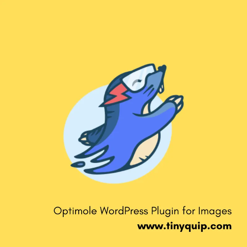 Optimole WordPress Plugin for Image Compression