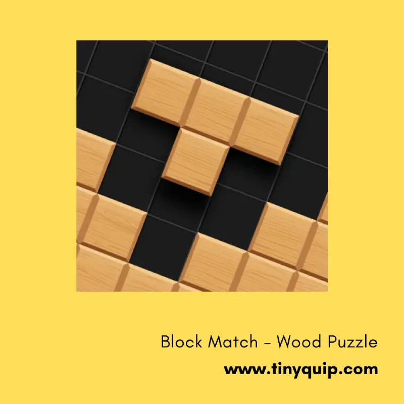Block Match - Wood Puzzle